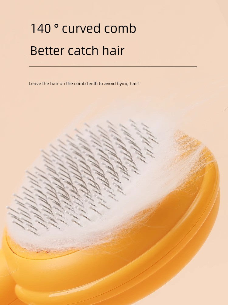 S01c31c65d8424719be74892e012d91219