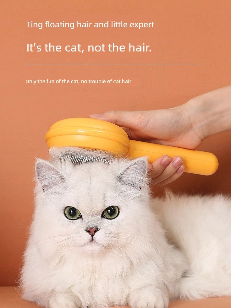 S09a344dc12ee4ce5ba636bc48ddcaca6T